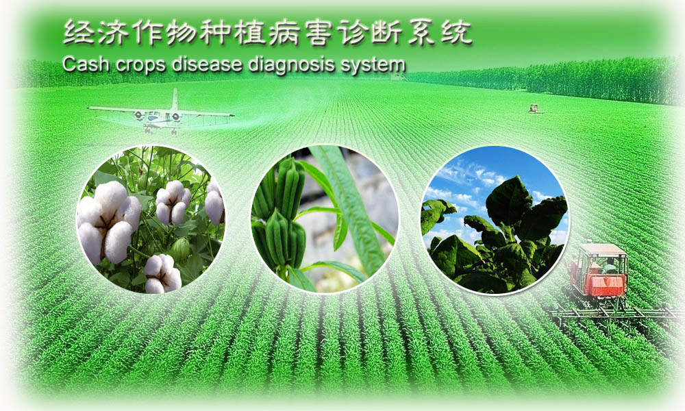 大豆，棉花，芝麻种植业病害诊断综合管理系统